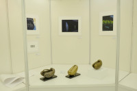 /album/bildgalleri-biologiska-museet-timiryazev/3-christell-etsningar-batar-small-jpg/